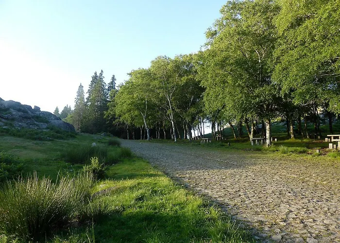 Casa Da Eira Velha Nyaraló Vale de Cambra